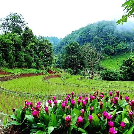 Kowitfarmstay Ban Mae Pan Noi Extérieur photo