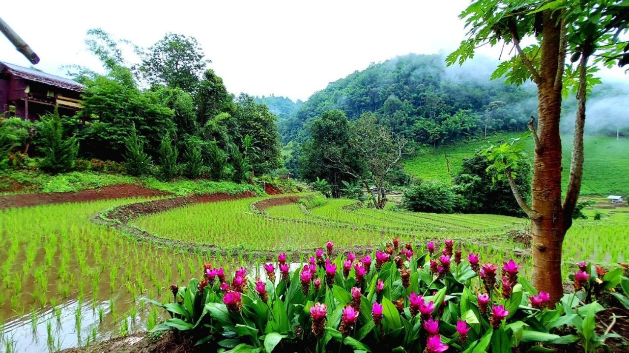 Kowitfarmstay Ban Mae Pan Noi Extérieur photo