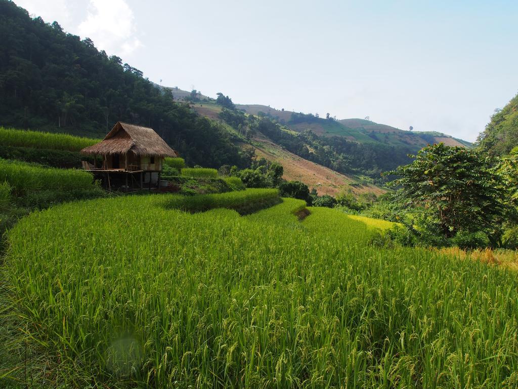Kowitfarmstay Ban Mae Pan Noi Extérieur photo