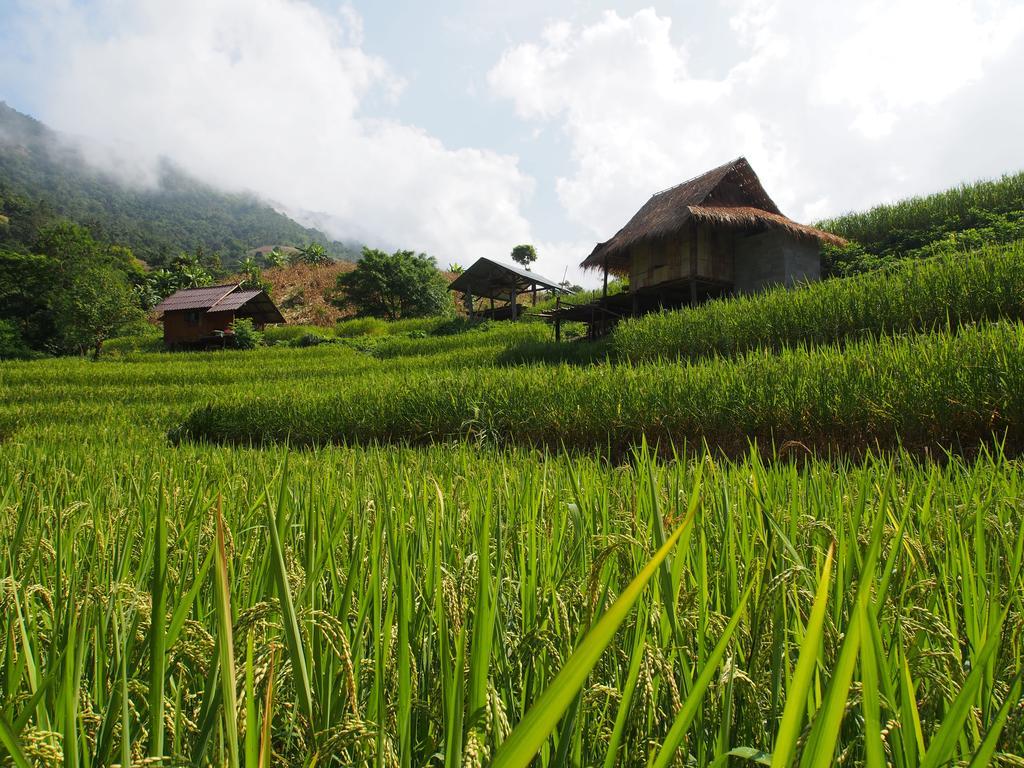 Kowitfarmstay Ban Mae Pan Noi Extérieur photo