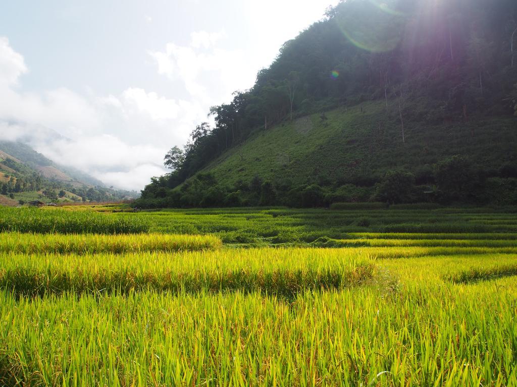 Kowitfarmstay Ban Mae Pan Noi Extérieur photo