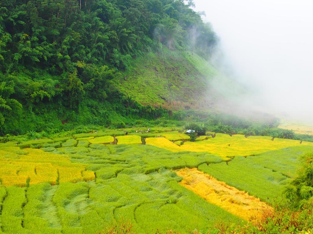 Kowitfarmstay Ban Mae Pan Noi Extérieur photo