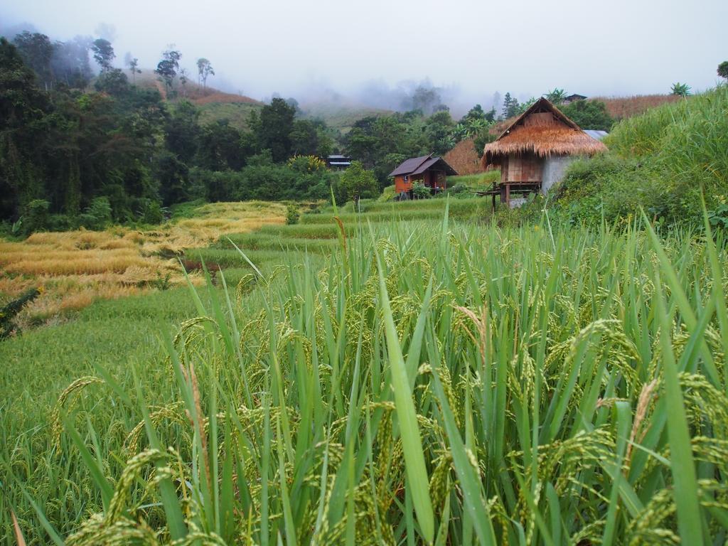 Kowitfarmstay Ban Mae Pan Noi Extérieur photo