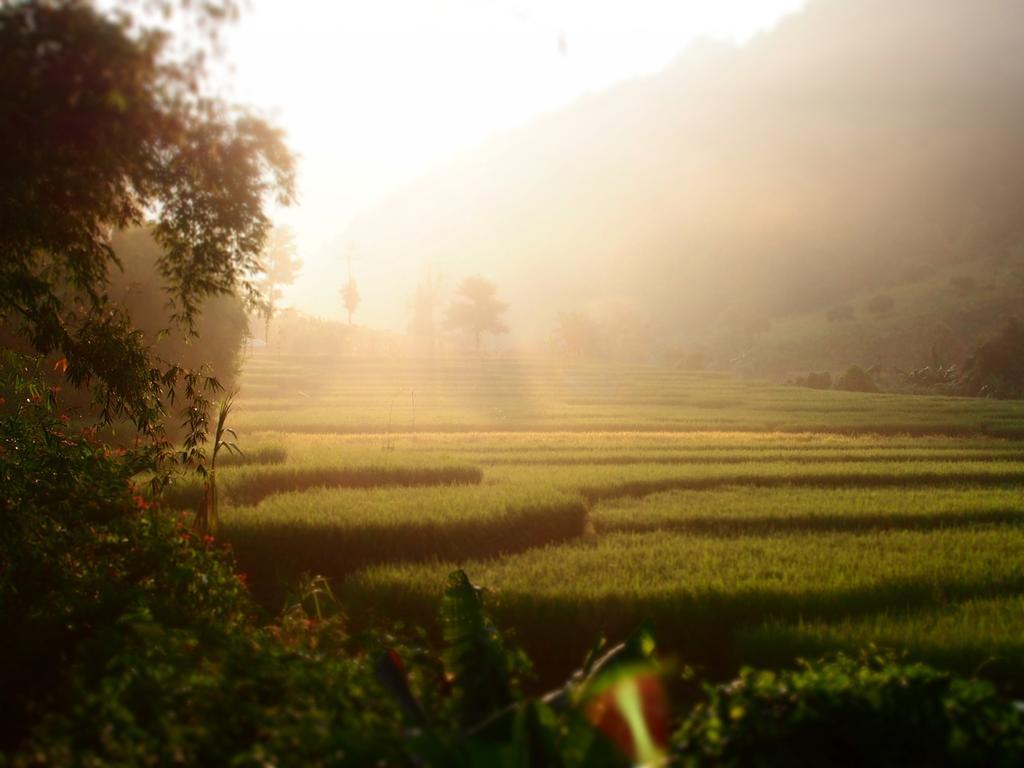 Kowitfarmstay Ban Mae Pan Noi Extérieur photo