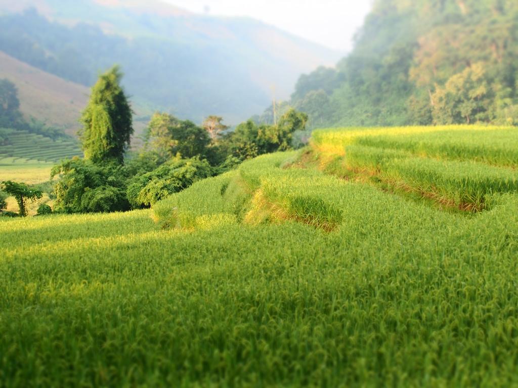 Kowitfarmstay Ban Mae Pan Noi Extérieur photo