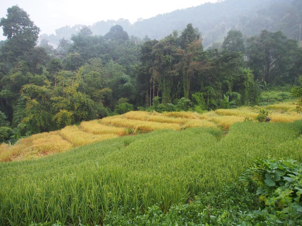Kowitfarmstay Ban Mae Pan Noi Extérieur photo