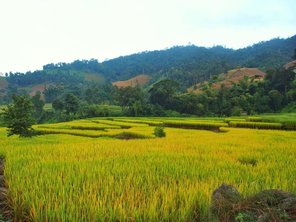 Kowitfarmstay Ban Mae Pan Noi Extérieur photo