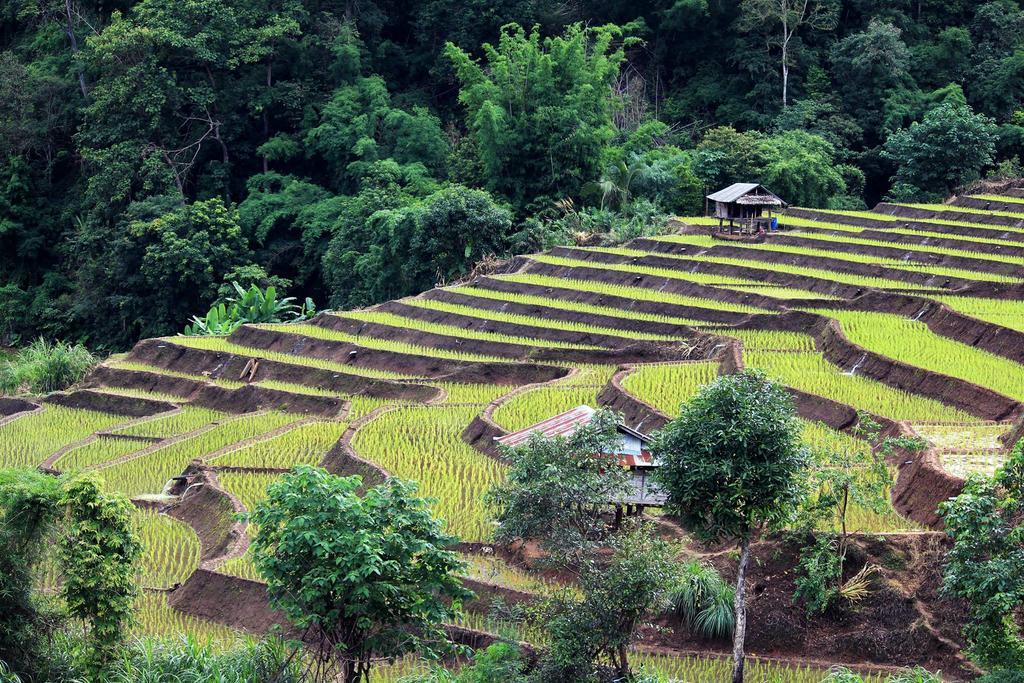 Kowitfarmstay Ban Mae Pan Noi Extérieur photo