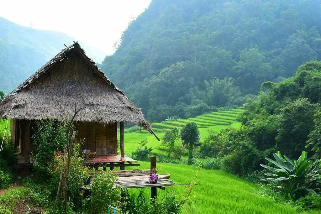 Kowitfarmstay Ban Mae Pan Noi Extérieur photo