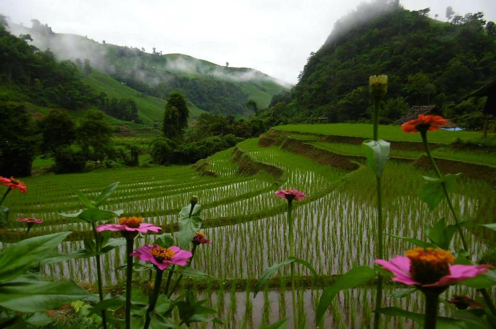 Kowitfarmstay Ban Mae Pan Noi Extérieur photo